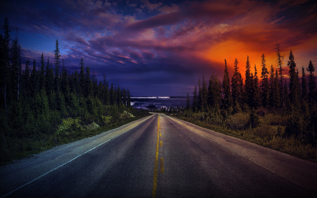 Sunset road bridge trees city free wallpaper - medium preview image
