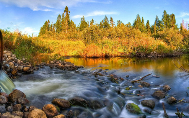 Lush forest river bridge autumn free wallpaper - medium preview image