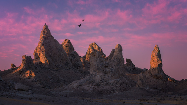 Bird mountain sunset pink cloud free wallpaper - medium preview image