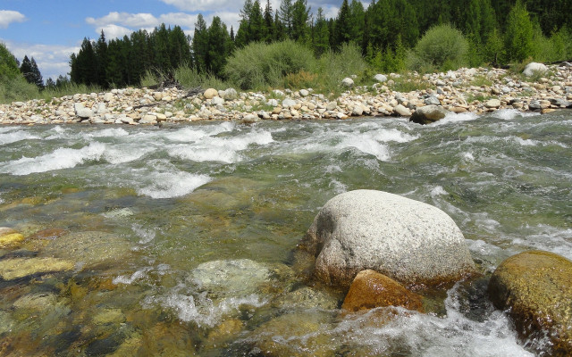 River rocks water trees sky free wallpaper - medium preview image