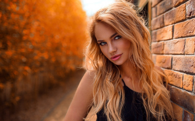 Blonde woman brick wall autumn free wallpaper - medium preview image