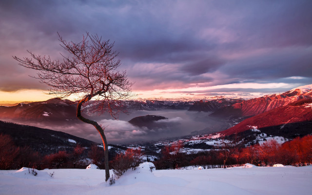 Snowy tree mountains sunset landscape free wallpaper - medium preview image