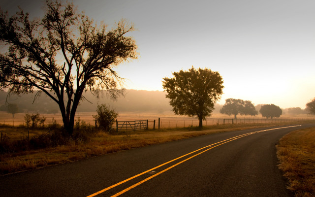 Yellow road fence autumn leaves free wallpaper - medium preview image