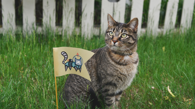 Cat grass sign love spaceman free wallpaper - medium preview image
