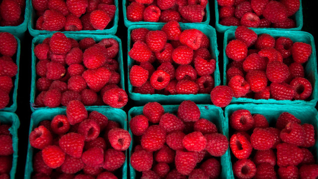 Raspberries plastic containers table closeup free wallpaper - medium preview image