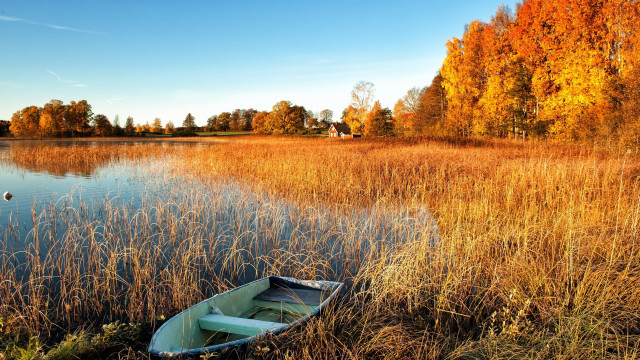 Small boat marshy autumn trees free wallpaper - medium preview image