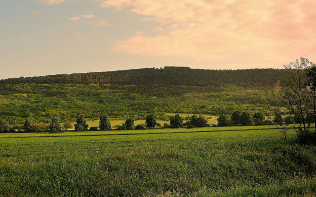 Large field hill trees clouds free wallpaper - medium preview image