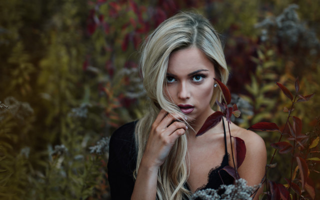 Blonde woman flower field portrait free wallpaper - medium preview image