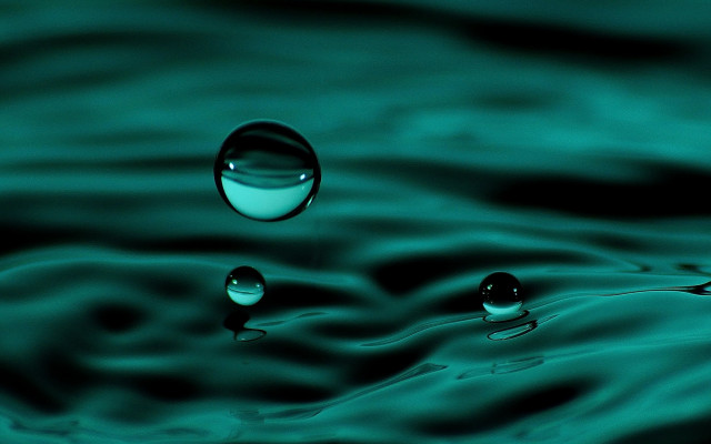 Water droplets green surface blue free wallpaper - medium preview image