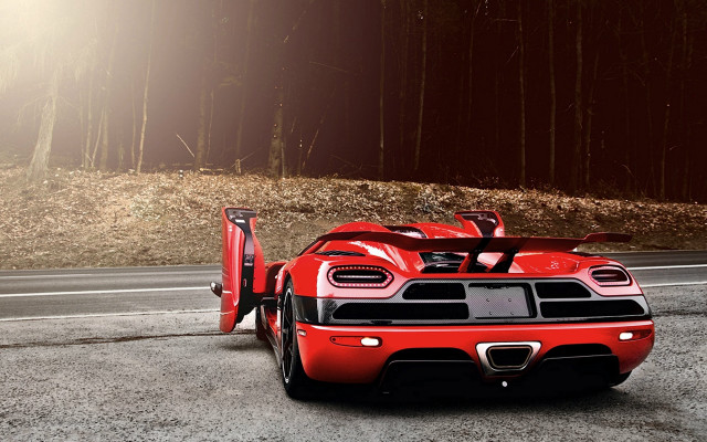 Red sports car forest tall free wallpaper - medium preview image
