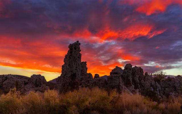 Sunset red sky rocks plants free wallpaper - medium preview image