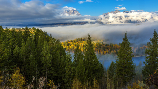Forest lake mountain clouds sunset free wallpaper - medium preview image