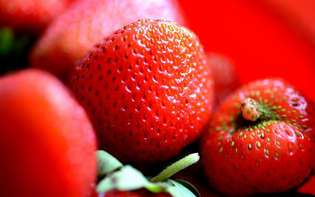 Strawberries redplate greenstem bowl berry free wallpaper - medium preview image
