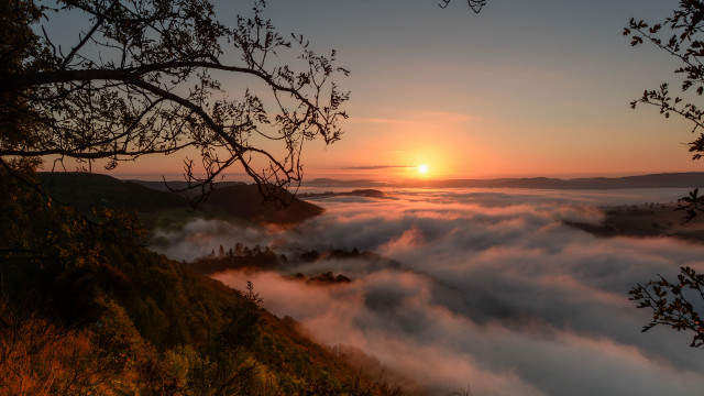 Sunset foggy valley tree clouds free wallpaper - medium preview image