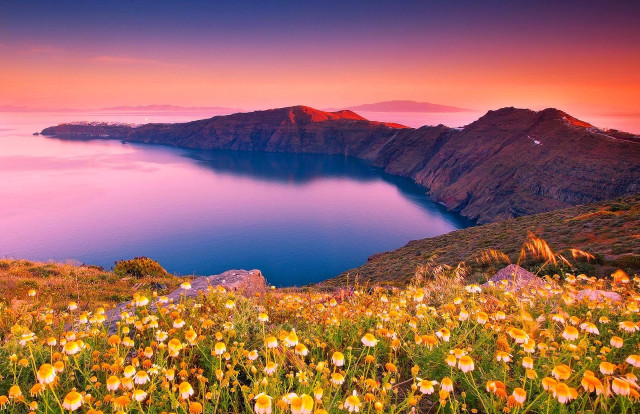 Sunset lake mountains flowers pink #2 free wallpaper - medium preview image