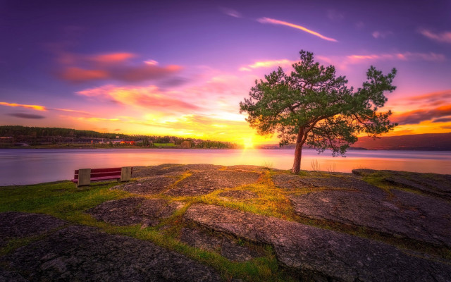 Lone tree rocky cliff lake free wallpaper - medium preview image