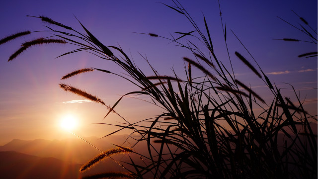 Sunset grass mountain sky dusk free wallpaper - medium preview image