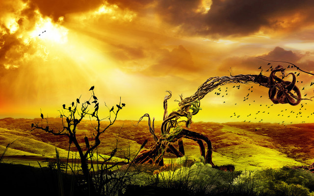 Tree bird sky field autumn free wallpaper - medium preview image