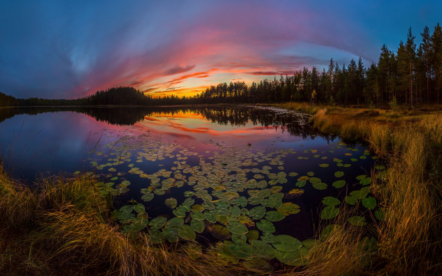 Lily pads sunset clouds mountains free wallpaper - medium preview image