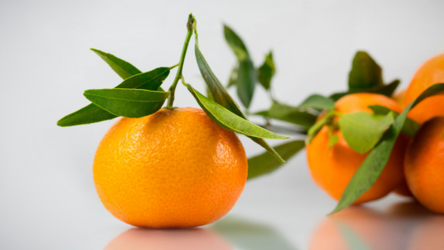 Oranges leaves table white background free wallpaper - medium preview image