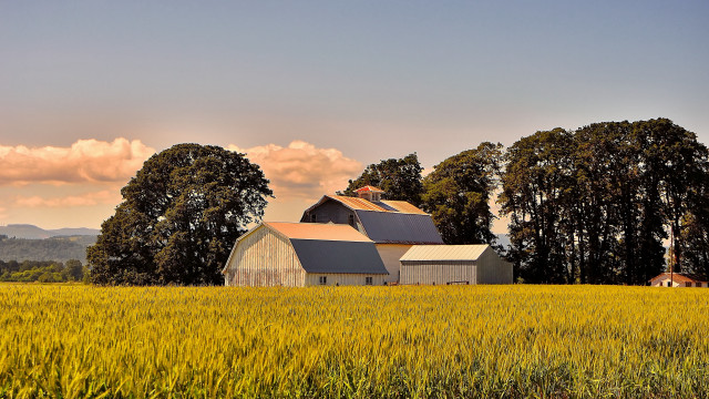 Barn trees sky clouds dusk free wallpaper - medium preview image