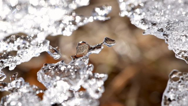 Ice crystals water droplets macro free wallpaper - medium preview image