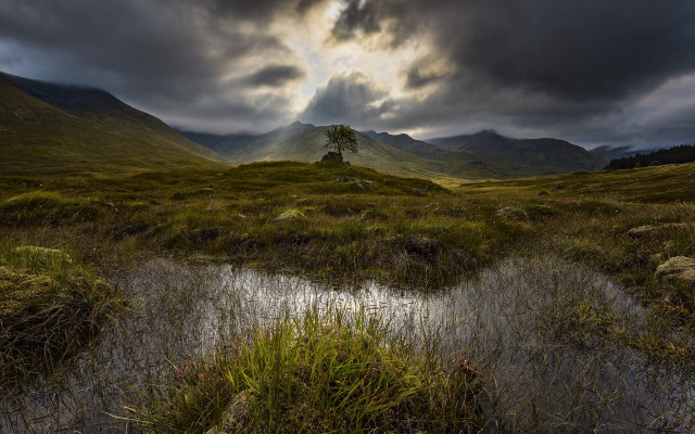 Small tree cloudy sky mountains free wallpaper - medium preview image