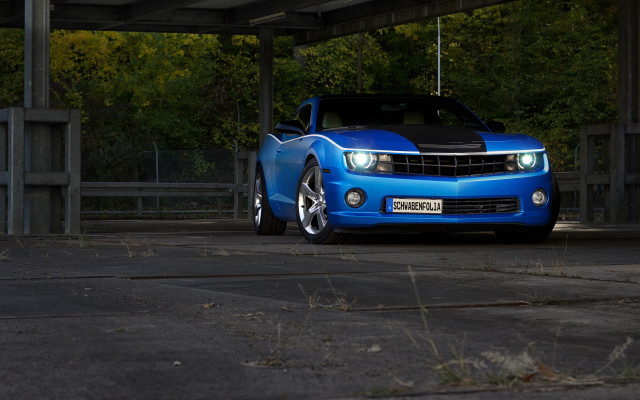 Blue car parked forest fence free wallpaper - medium preview image