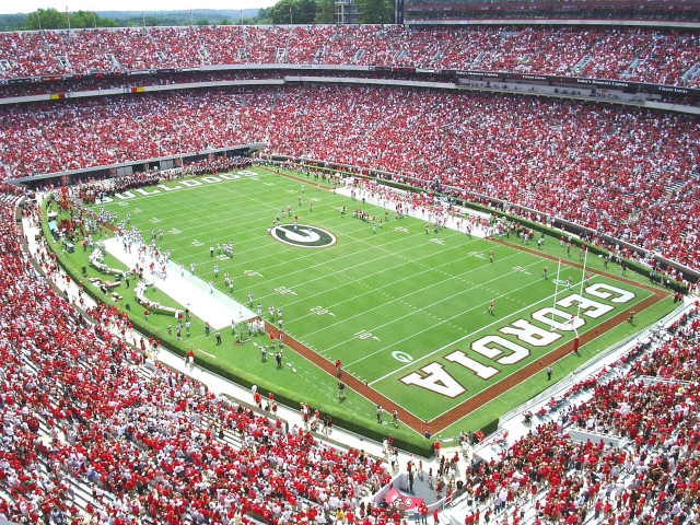 Football stadium crowd green field free wallpaper - medium preview image