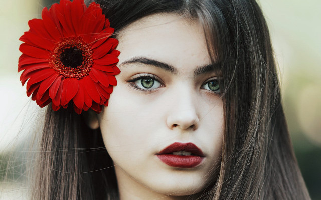Araceli gilbert red flower portrait free wallpaper - medium preview image