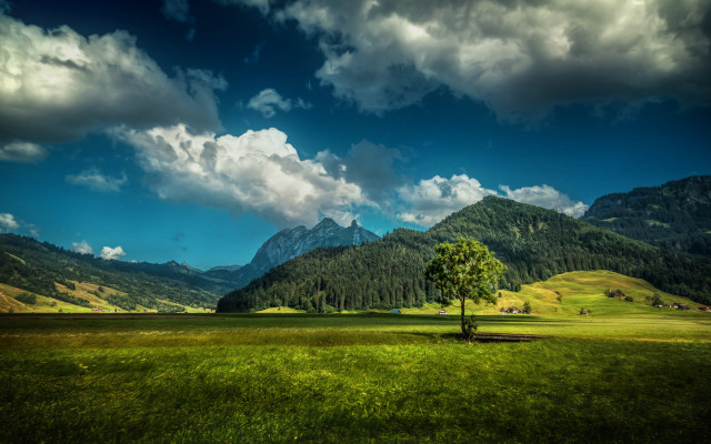 Lone tree mountains clouds green free wallpaper - medium preview image