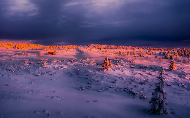 Snowy landscape red cabin purple free wallpaper - medium preview image