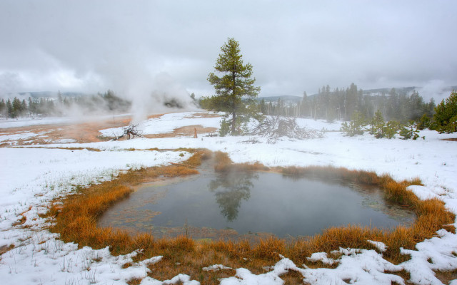 Small pond snowy trees nature free wallpaper - medium preview image