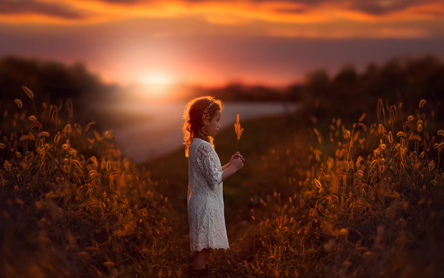 Girl field butterfly dusk autumn free wallpaper - medium preview image