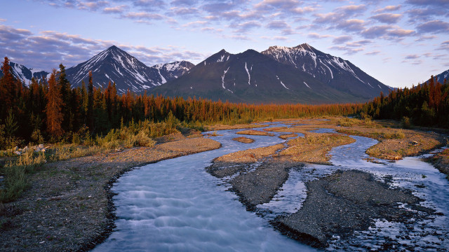 River forest mountain snow trees free wallpaper - medium preview image