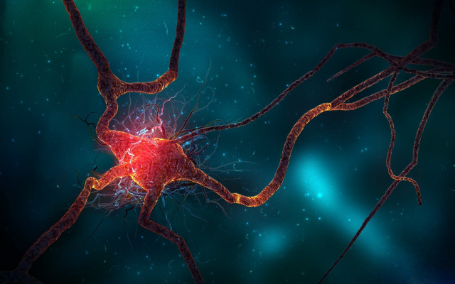 Neoplasticism microscopic aurora fireworks astronaut free wallpaper - medium preview image