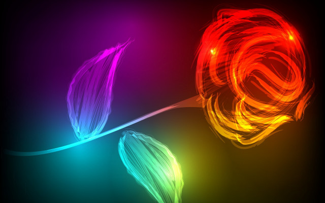 Colorful roses fireball glowing flame free wallpaper - medium preview image