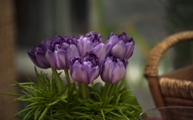 Purple flowers vase table basket free wallpaper - medium preview image