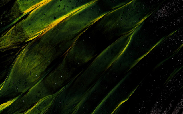 Plant water droplets abstract aurora free wallpaper - medium preview image