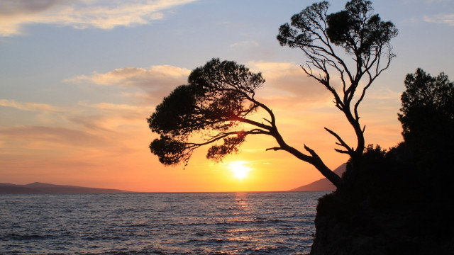 Tree cliff ocean sunset boat free wallpaper - medium preview image