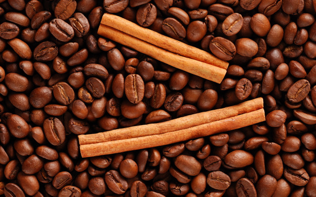 Coffee beans cinnamon sticks pumpkin free wallpaper - medium preview image