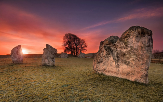 Sunset field rocks lone tree free wallpaper - medium preview image