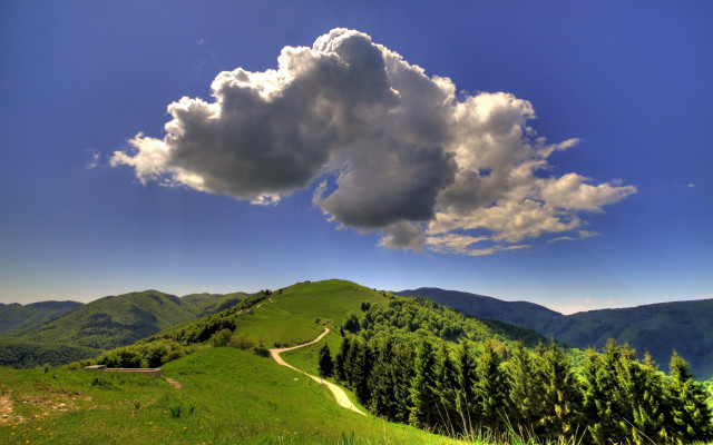 Green hill road cloud trees free wallpaper - medium preview image
