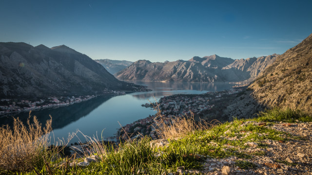 Lake mountains town flowers forest free wallpaper - medium preview image