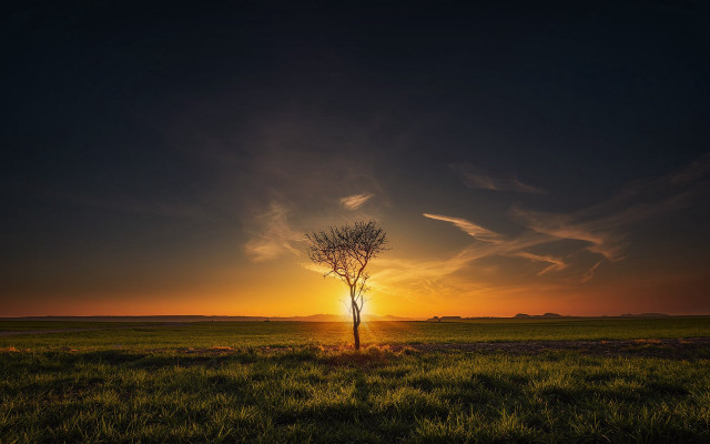 Lone tree sunset clouds mountain #2 free wallpaper - medium preview image