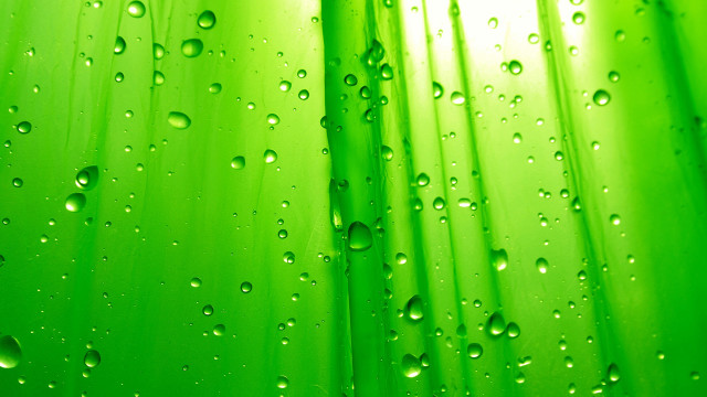 Green curtain water drops macro free wallpaper - medium preview image