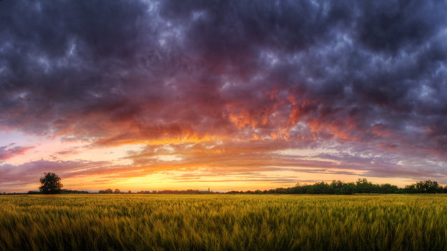 Clouds sunset horizon nature field free wallpaper - medium preview image