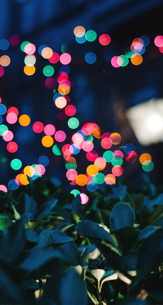 Blurry lights bush leaves background free wallpaper - medium preview image
