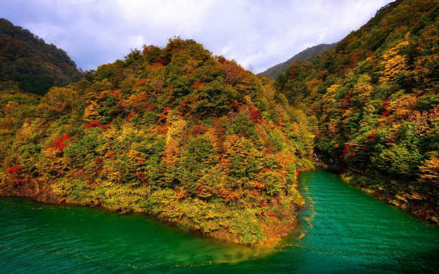River forest blue sky autumn free wallpaper for desktop - medium preview image