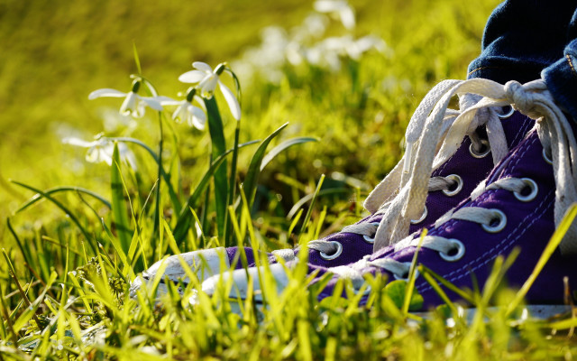 Purple sneakers grass flower bokeh free wallpaper - medium preview image